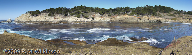 Point Lobos, California